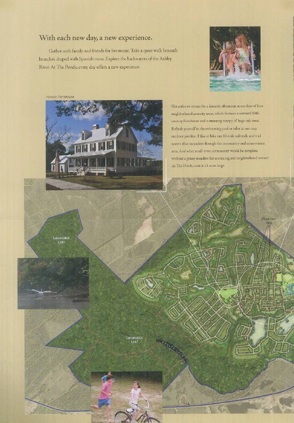 The Ponds Phase I Brochure 